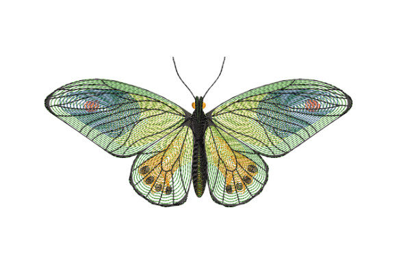 A Graceful Green Butterfly for Seasonal Designs