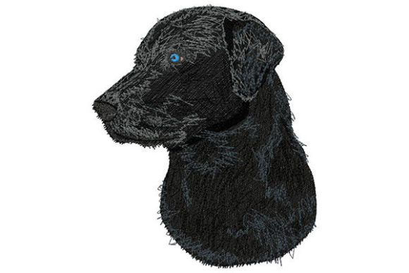 Labrador Retriever Embroidery Design for Real Projects